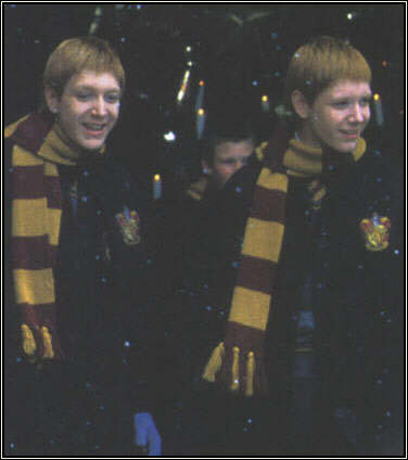fred and george